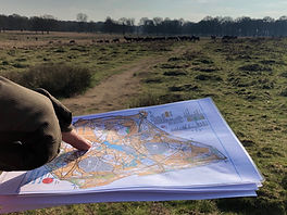 NNAS Richmond Park Lonsar.png
