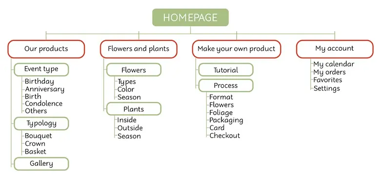 Information Architecture.webp