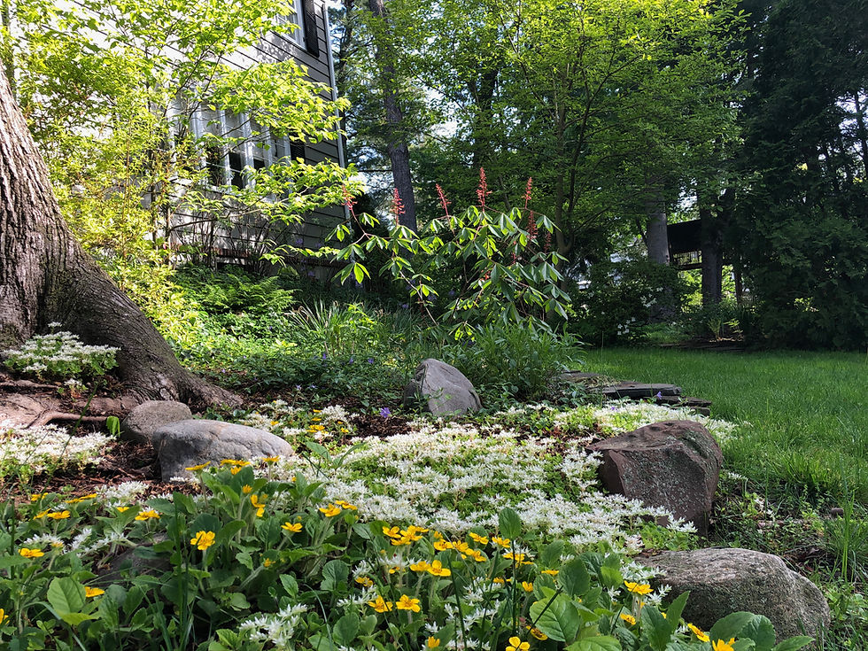 Website - 3 of 112.jpeg