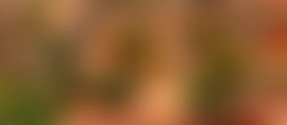 Imóveis sustentáveis: vale a pena investir no futuro do mercado imobiliário?