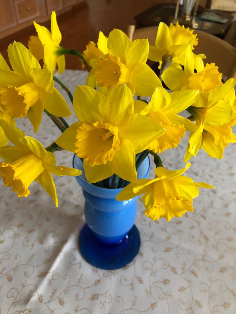 Blue vase with yellow daffodils