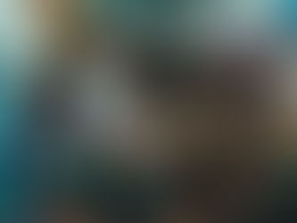 crowd on a city street