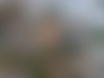 Daily Affirmations - Day 7 - The Call of Home: Peace and Safety