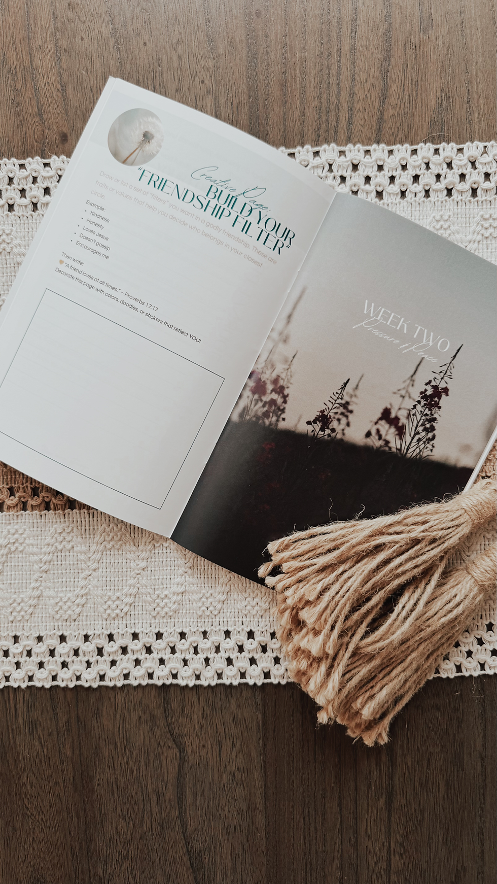Thumbnail: BE STILL, BRAVE GIRL | Devotional Journal for Teens