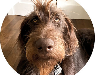 IMG_3694 (1)_edited.jpg