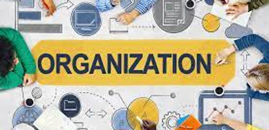organization.jpeg