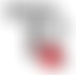 Grenzen achten – Grenzen setzen