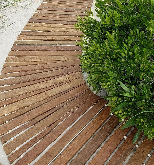 Curving Ipe roll-out boardwalk path with green plant
