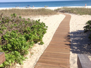 Roll-Out Boardwalk creating beach access through coastal dunes with ocean views in the distance