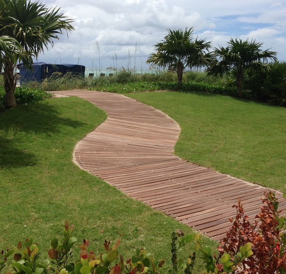 Wooden boardwalk path leading to water, palm trees.