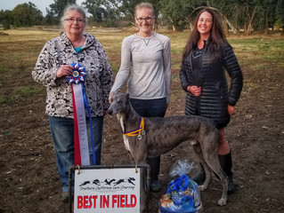 2018 Turkey Run