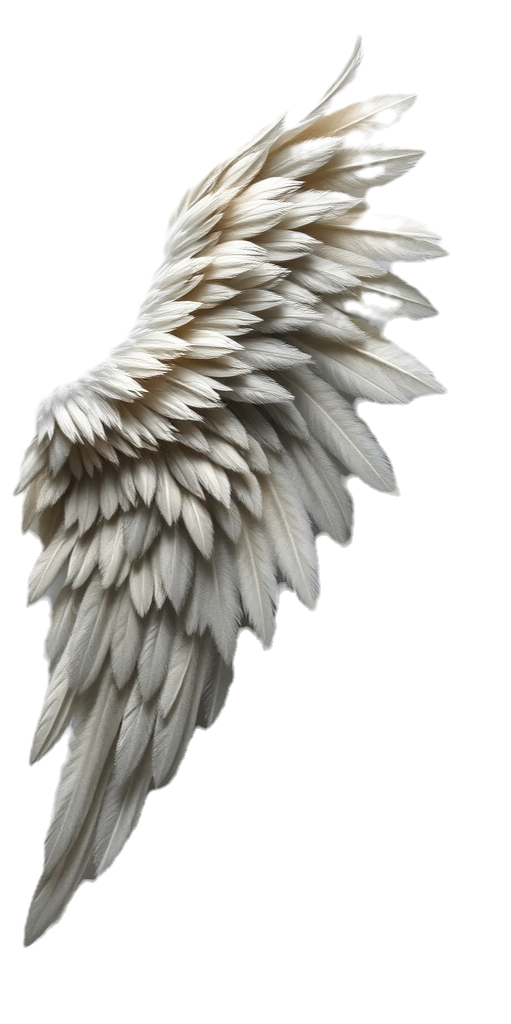 realistic angel wings of feathers_edited_edited.png