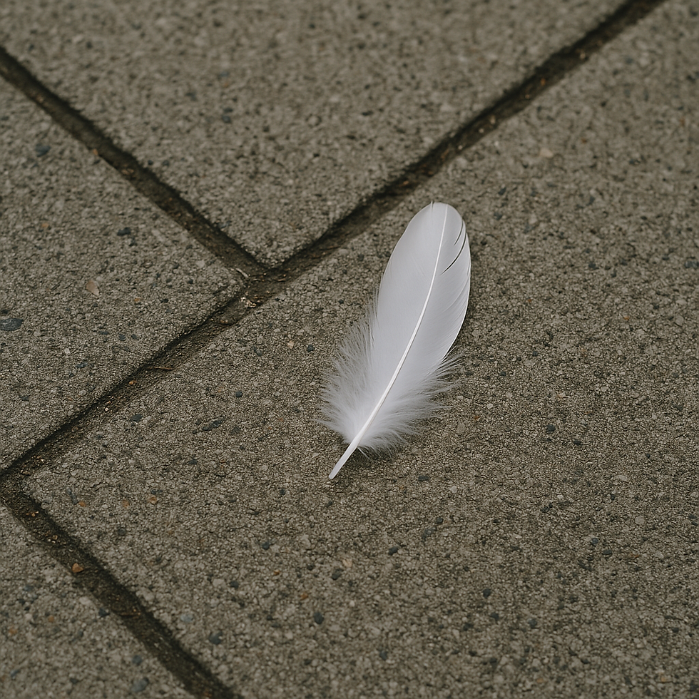 Angel White Feather