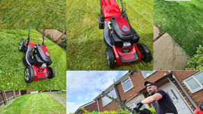 Lawnmowing this Friday 19th May