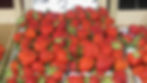 Strawberries - Weipion Belgium