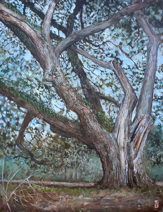 oak.jpg