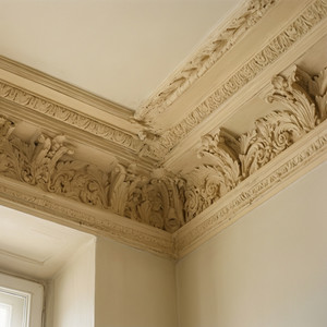 Period Plasterwork Repair