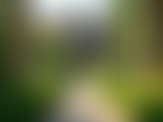 Essential Steps for Effective Property Preservation