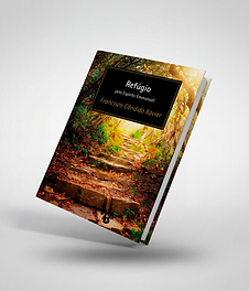 magnific__use-the-uploaded-book-cover-artwork-exactly-as-pro__31956.png