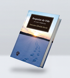 magnific_use-the-uploaded-book-cov_0p9pUrwTfW.png