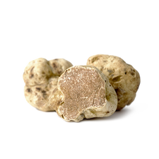 Piemonte’nin lezzet başkenti: Alba