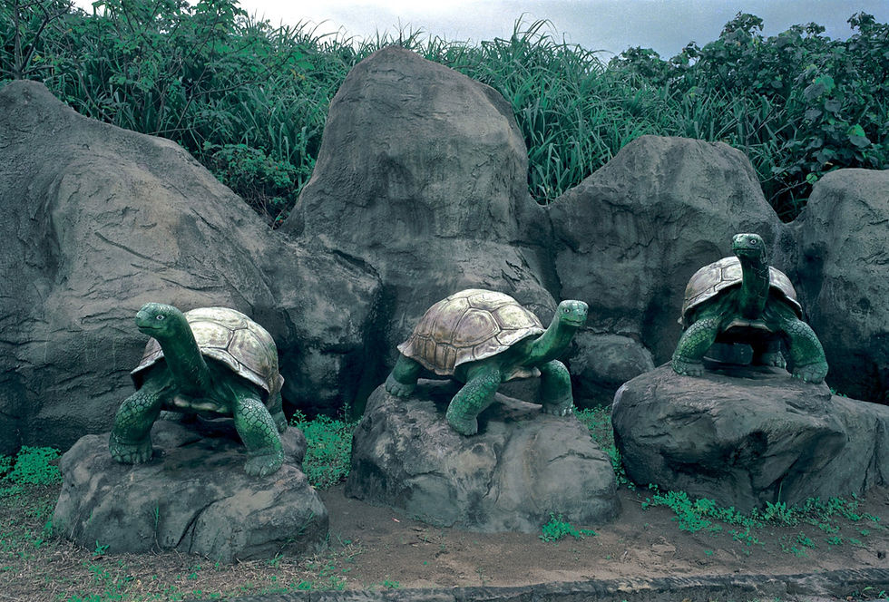 《真假之間》_台北縣淡水洲子灣遊樂區 1994