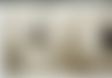 科學家式的理性藝術家