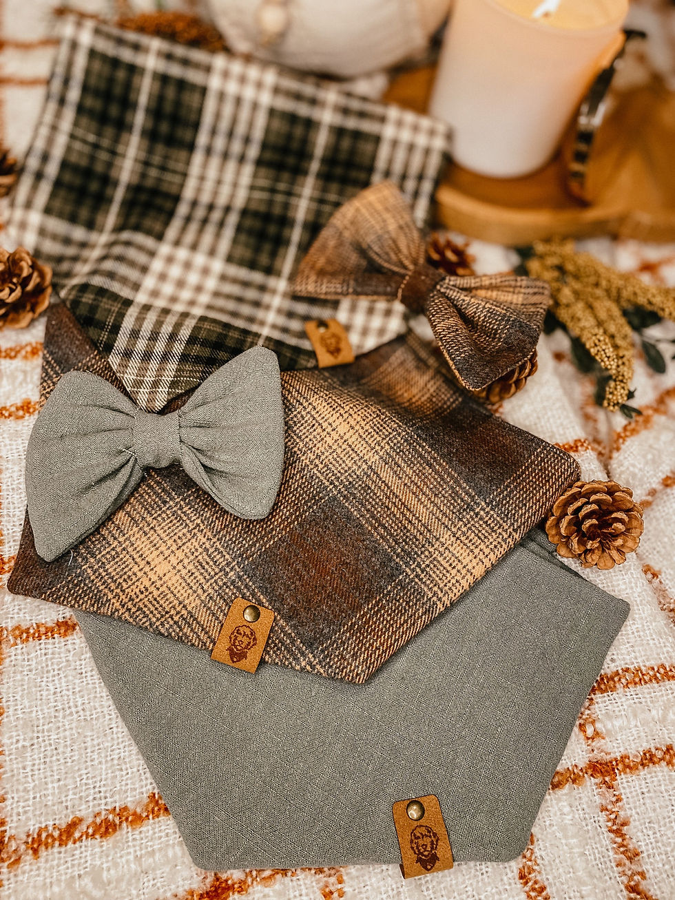 Thumbnail: Fall Bows