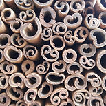 Premium Cinnamon from Indonesia Supplier Manufacturer Exporter