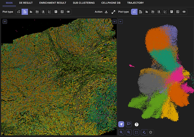 Easy collaborative Xenium data analysis software.png