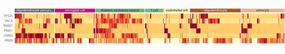 One use of heatmaps in single-cell RNA-seq data analysis is to visualize the expression levels of selected marker genes across different cell types, as shown here in this Parkinson’s disease study. Warmer colors indicate higher expression, highlighting cell type–specific gene activity.
