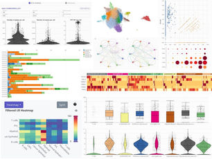 The Beginner’s Guide to Single-Cell RNA-seq Data Analysis: Essential Plot Types