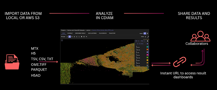 Xenium data analysis workflow CDIAM.png