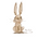 IMG_1884.PNG