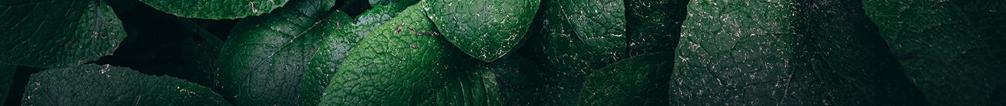 natural-background-2021-08-26-16-36-21-utc copy 2.webp