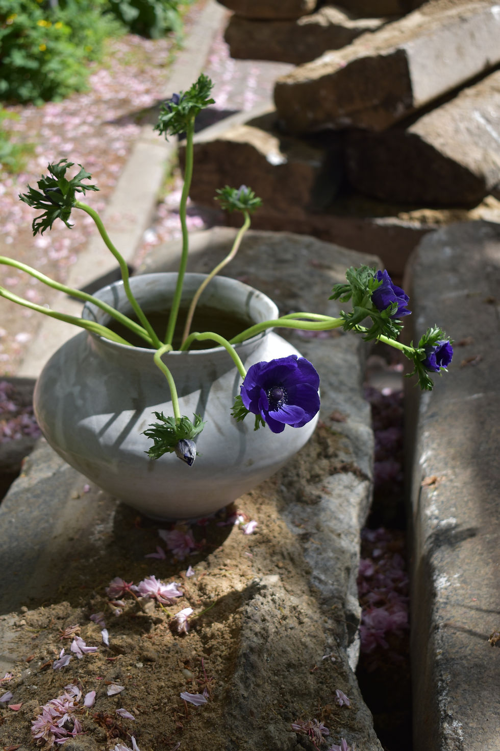 Miniaturbild: Vase 07 | White Page Collection
