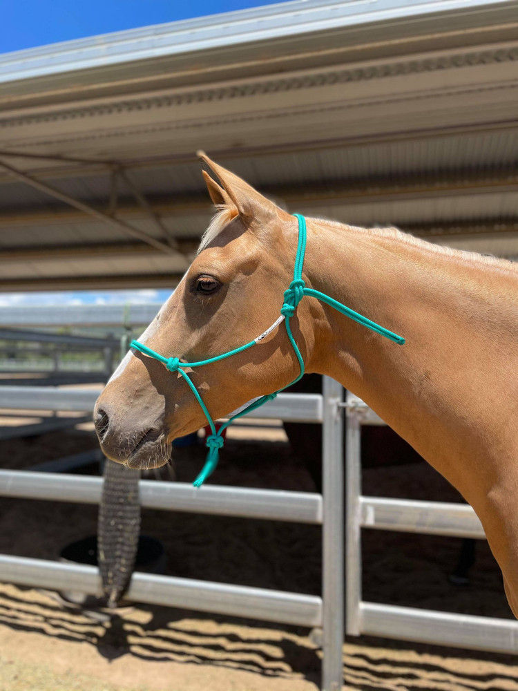Thumbnail: TBP Gear Pack - Horsemanship Essentials