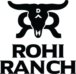 rohi-logo-vertical-blk@3x.png
