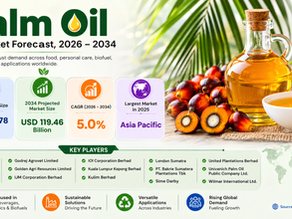 Palm Oil Market Size Surges Toward USD 119.46 Billion by 2034 with a 5.0% CAGR: Industry Dynamics, Key Drivers, and Strategic Outlook 🌴📈