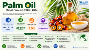 Palm Oil Market Size Surges Toward USD 119.46 Billion by 2034 with a 5.0% CAGR: Industry Dynamics, Key Drivers, and Strategic Outlook π΄π