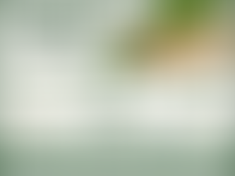 Global Abaca Pulp Market Set to Reach USD 1,859.10 Million by 2034: Emerging Trends and Future Outlook