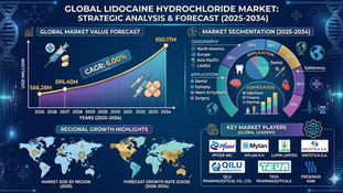 Comprehensive Analysis of the Global Lidocaine Hydrochloride Market: Strategic Industry Insights