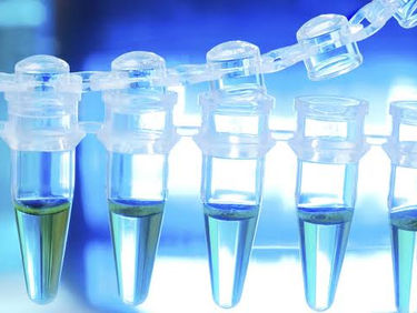 Bio Diesil