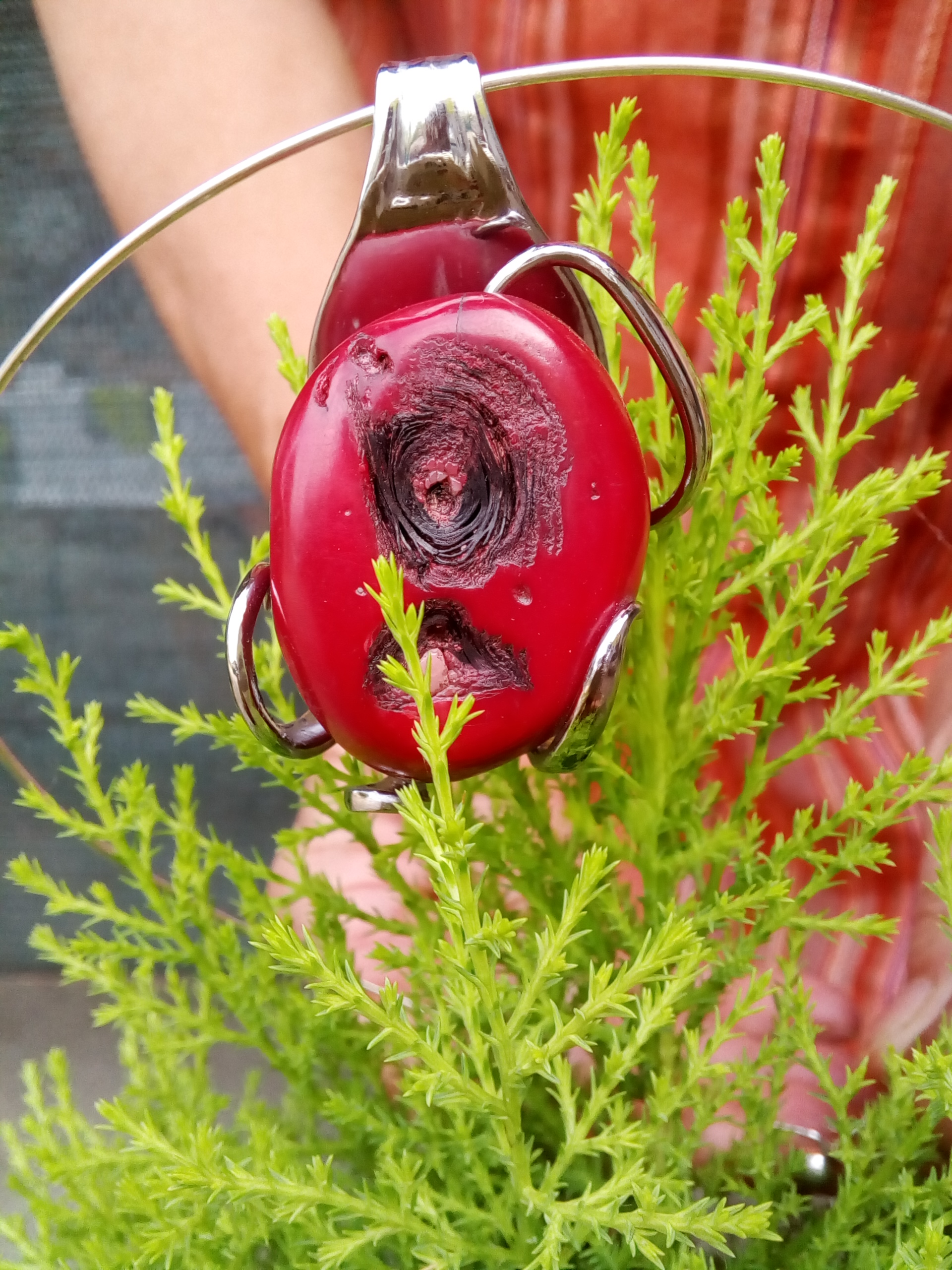 Corail rouge (Pacifique)