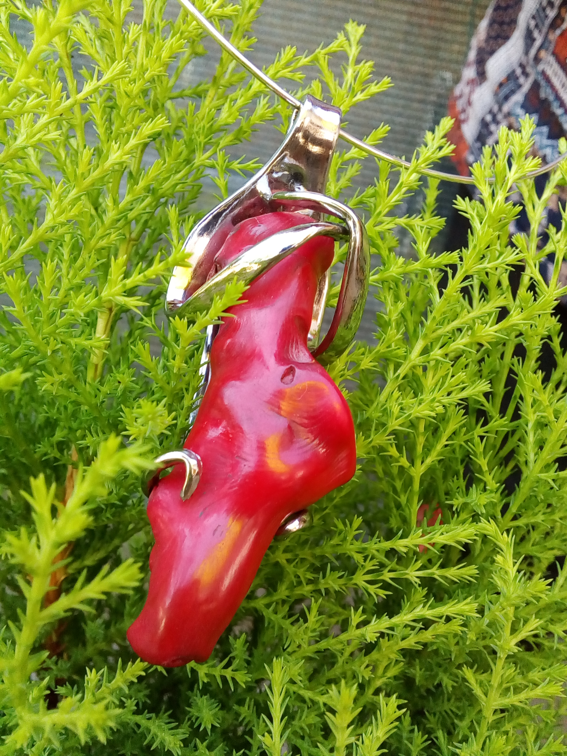 Corail rouge (Pacifique)