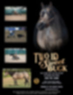 2025 TWO ID SWEET BUCK.jpg