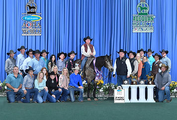 Probably A Shiner 2022 AQHA Champion breeding contract standing at stud probably a shiner