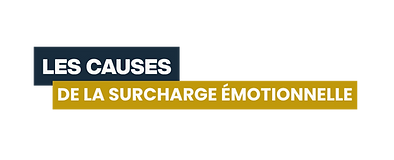 CAUSES SE 02.png
