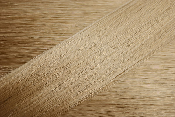 Light Blonde Hair Sample