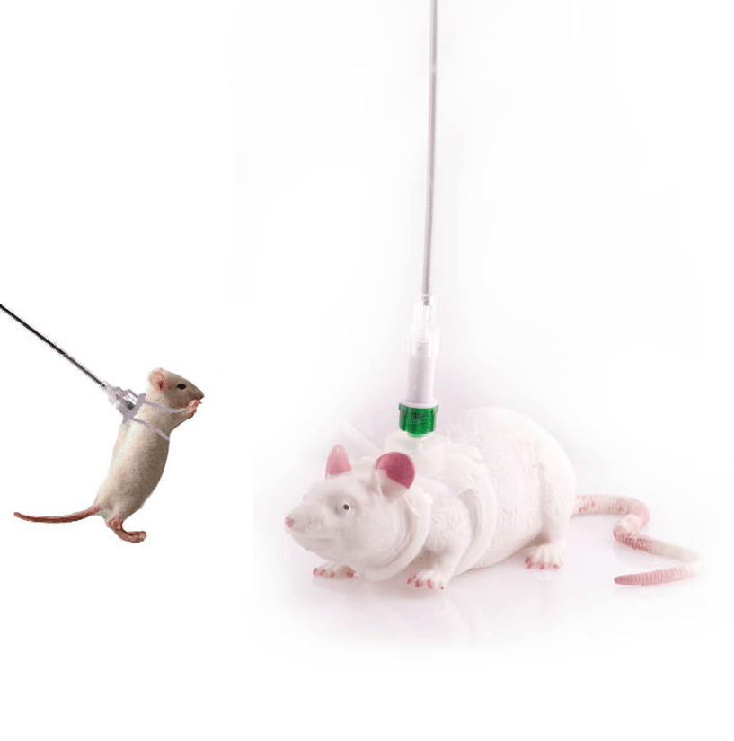 Rat Infusion System